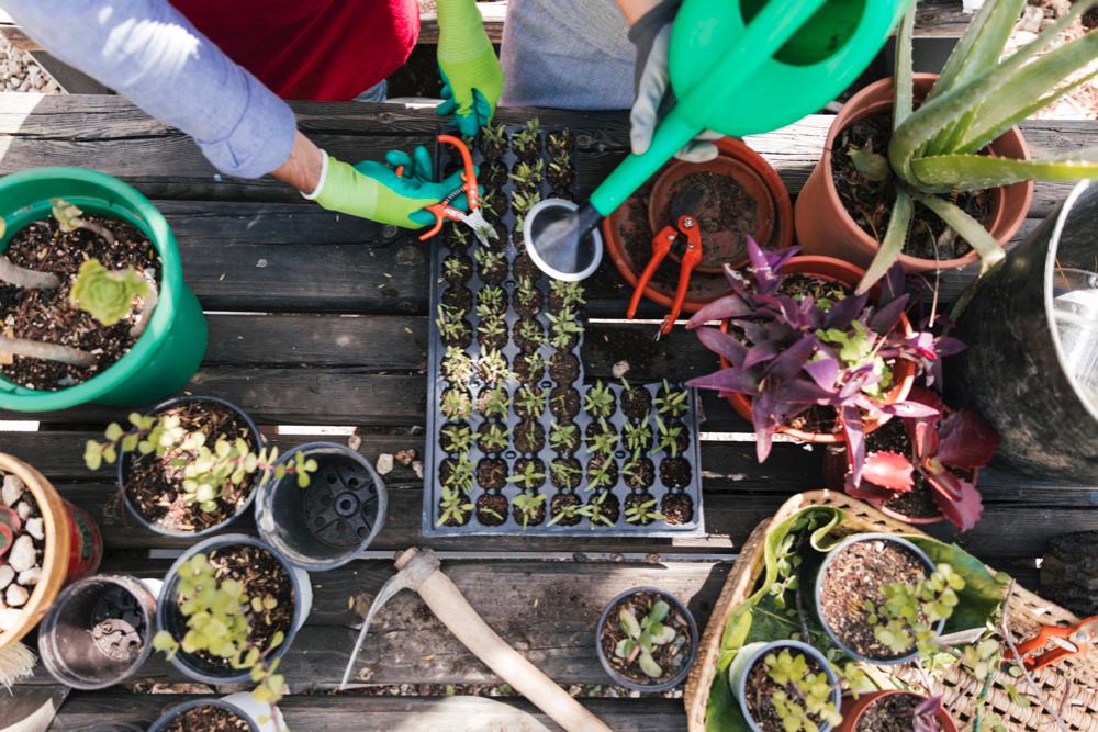 Horticultural Guild