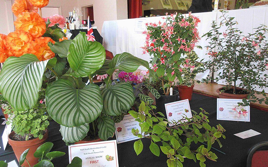 13/09/25 – Wall Heath Horticultural Guild and Flower Club Show